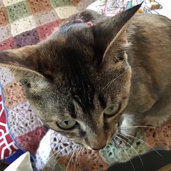 C32e4626 e01b 4ffc 97bb e3ce584cea5f 1592373894337