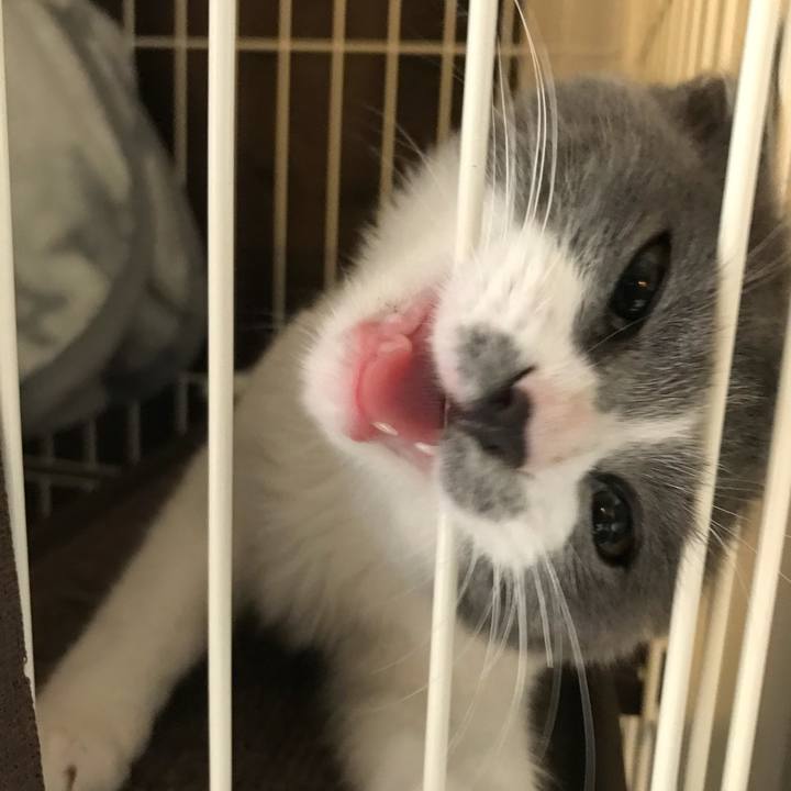 C32e48f9 beb7 4fe1 a71b 243deb5f29af 1624159804880