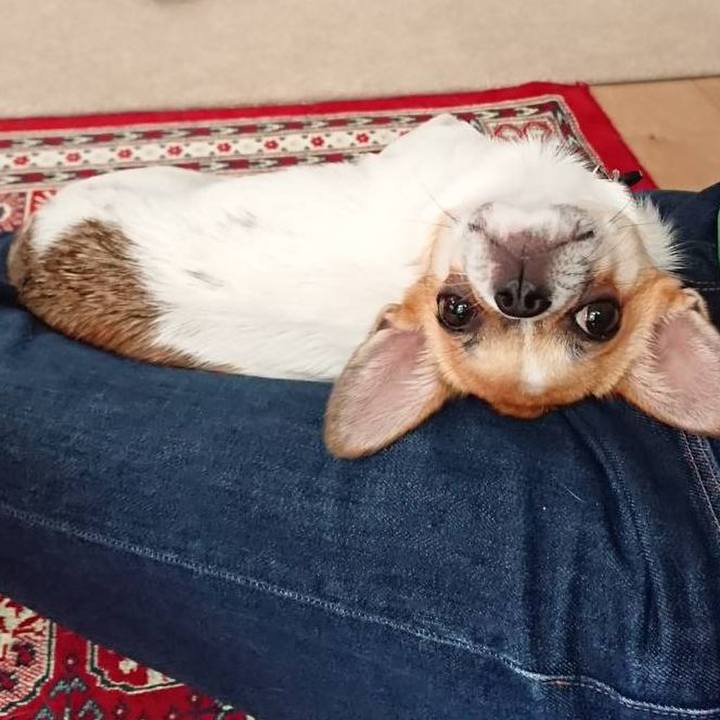 C32e6305 0509 407c bb40 f9ae57e6f12d 1561369599363