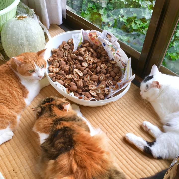 C32e92b6 144d 4a0e 9699 a256c55e5408 1570418311670