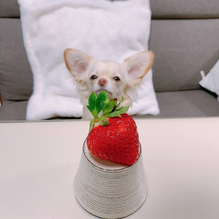 C32e9868 2dce 435b 8f41 976c2f13eb59 1611959992132