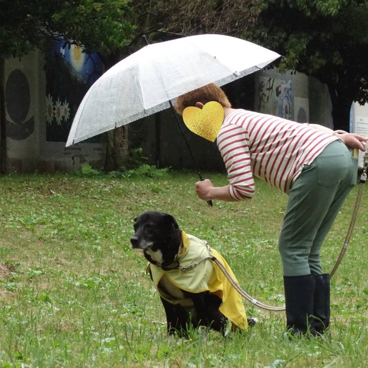 C32ed18b dfd9 4522 bafe 0e91b392af34 1747439220646