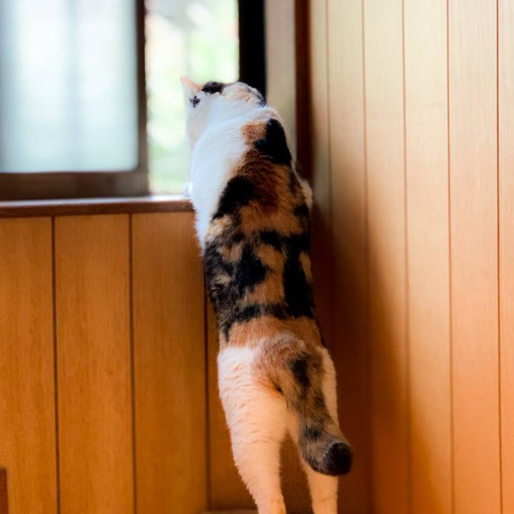 C32f2cfb 90f4 4af1 9e49 780fbcee3ae4 1592184557020