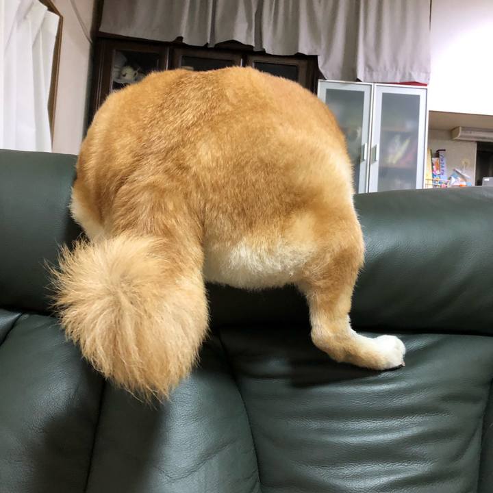 C32f528c 2d02 4fb4 932c 3bdd82784b4b 1582984376136