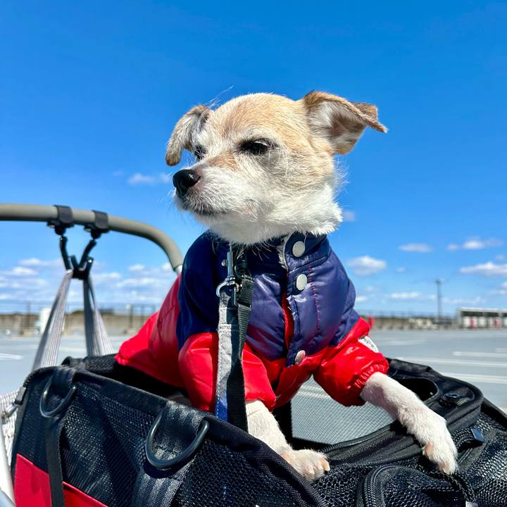 C32f89af a753 4bbe b7d9 f5762798d8e7 1710061842208