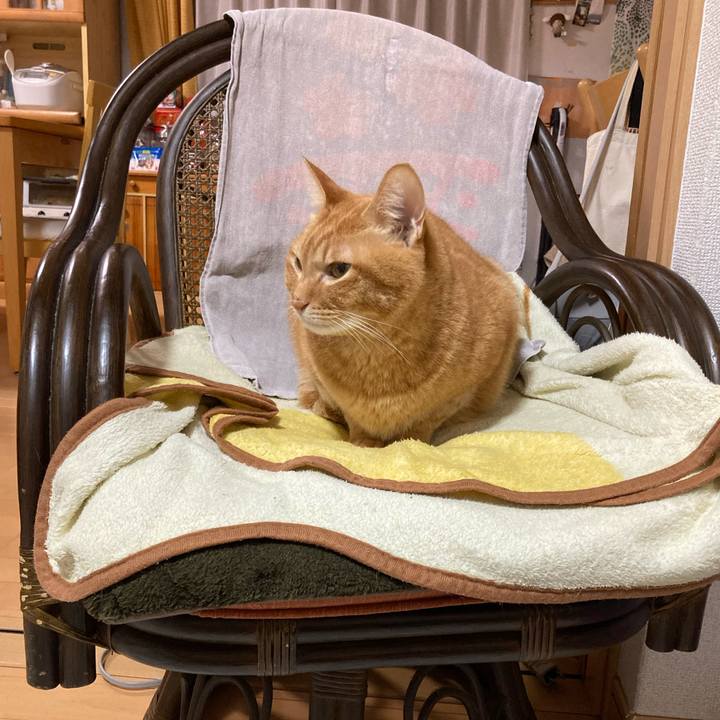 C3300189 cf52 4d91 8e28 5f08d63548f3 1769086427993