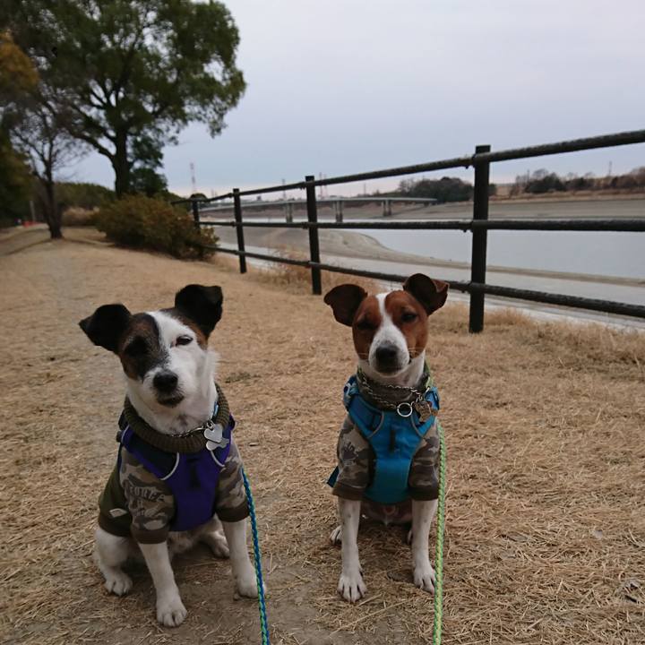 C3302000 df1e 47e2 bab6 d40bed8c7527 1610336221188