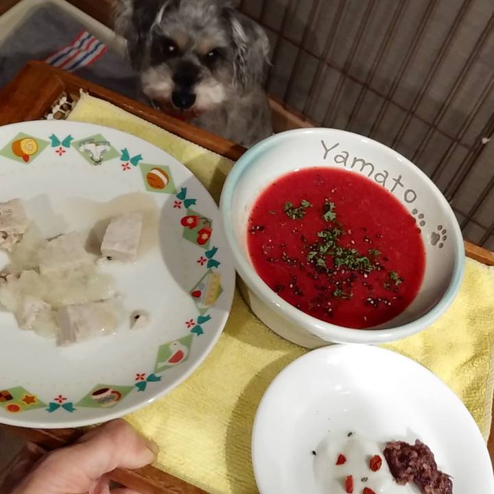 C3304aa0 a3e1 4a85 9346 c094d4fa7022 1673743911725