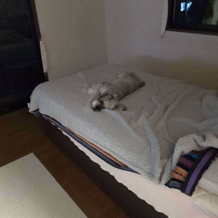 C3307d7f 5e3a 439c 88f7 4218da5e9269 1755435879870