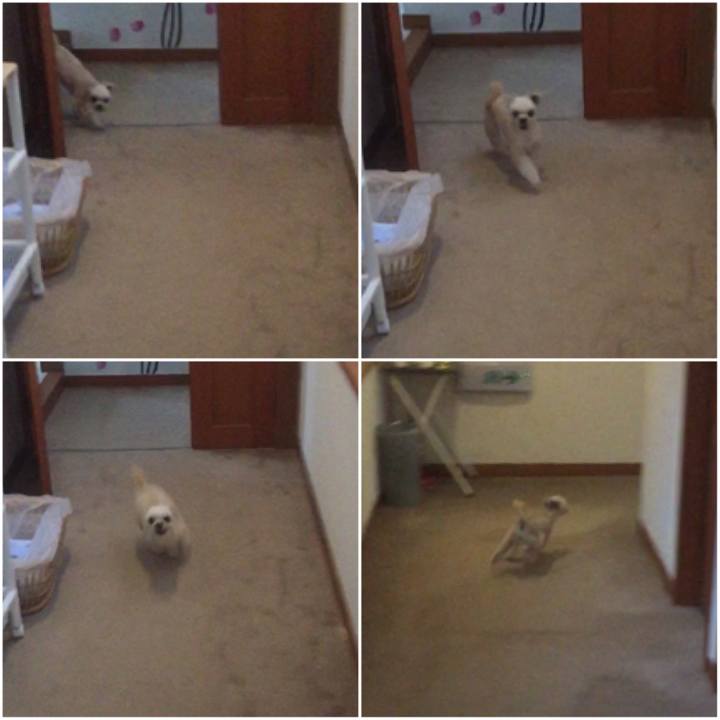 C330bc5f d66a 4b29 9ed3 1f2aef5915ff 1556694665195