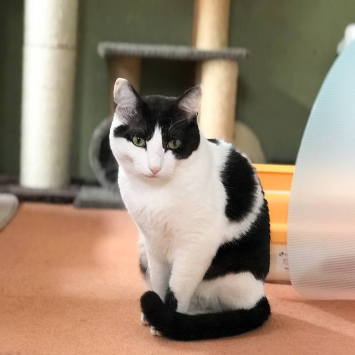 C330df6d fa83 44e4 b8d0 18a03e483243 1528815208541