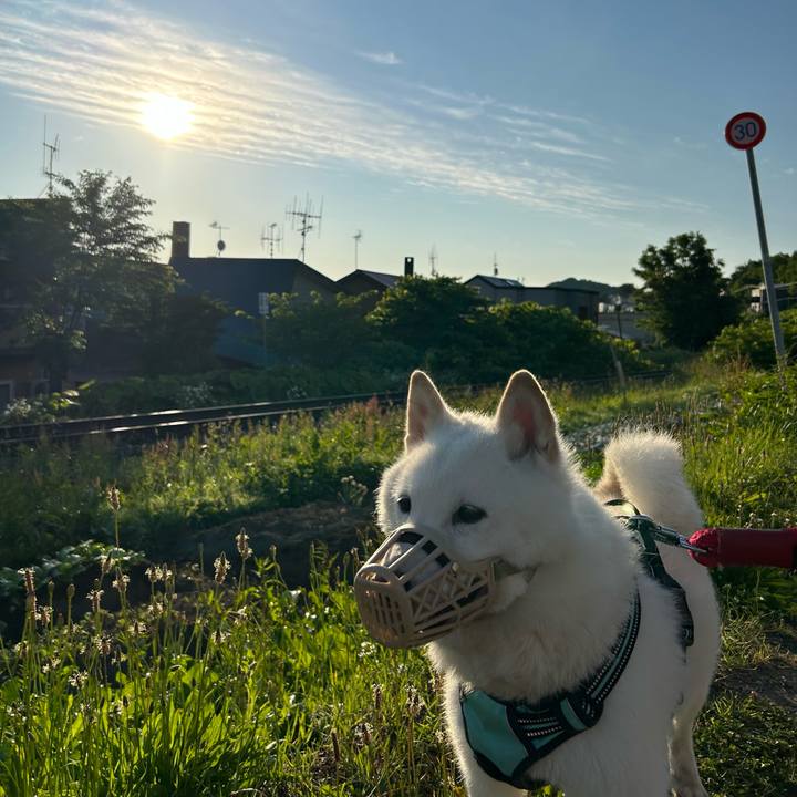 C330f312 d088 4802 9a5e d1038657d29b 1687293823320