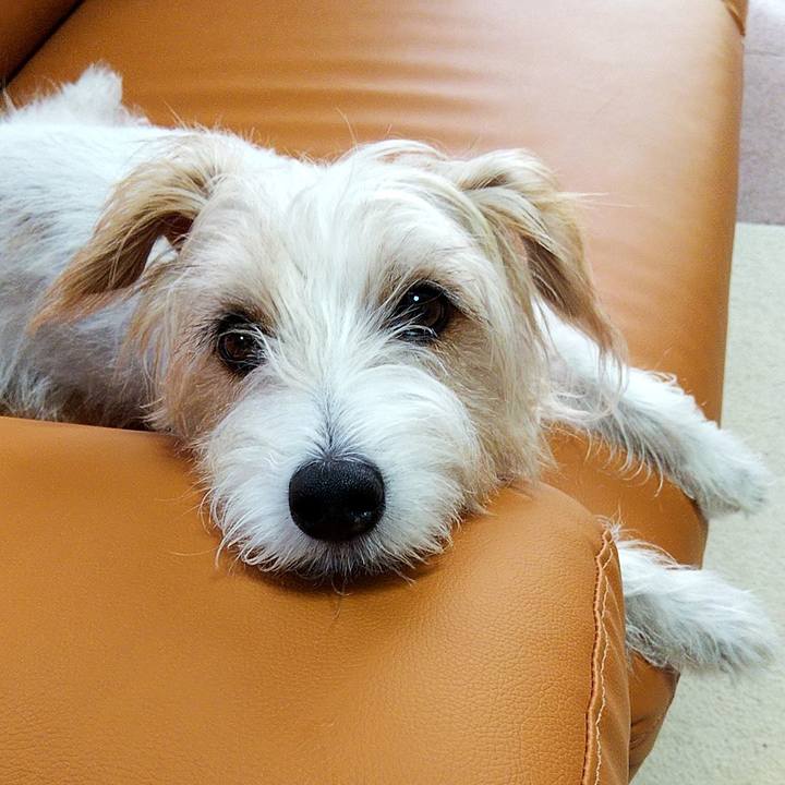 C330f60b 949e 4fef 96e4 3ba5afea7622 1568240269028