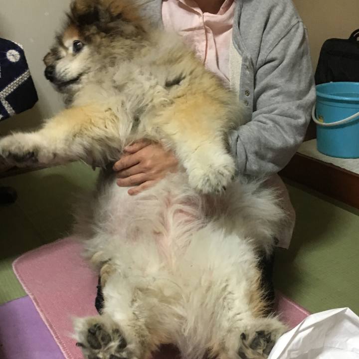 C331104a 7f25 4fc0 8fb1 66d5b545957f 1575222469889