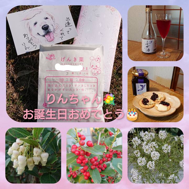 C3314d5c 63e8 4510 a328 20da900b8d18 1607169214104