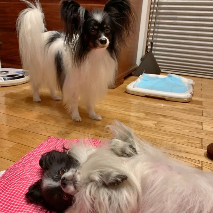 C33150ea 4270 4de7 a041 856ec2c370a3 1569250135447