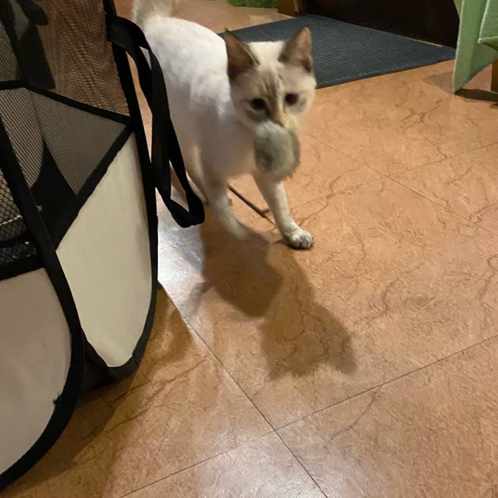 C331526e a05c 4bf7 9c4a 5fb3f0076b19 1637833004018