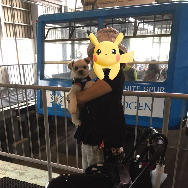 C3315b28 73e6 4f45 bad5 3900484ccb20 1535763969264