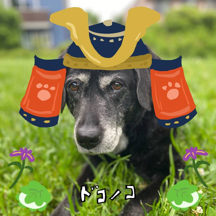 C3319572 d6da 4bbb a4e7 08b7e8efc1c0 1715069060538