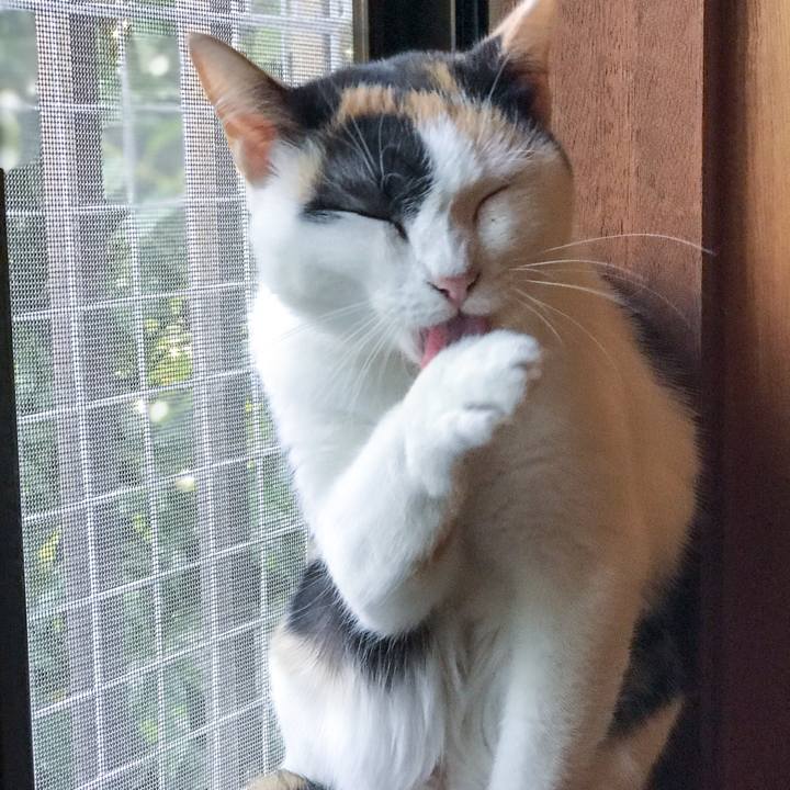 C331a196 8e34 41f6 bbcc 439cbdcaa5c6 1509423009359