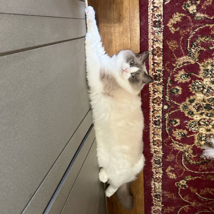 C331b53d 2557 42b8 bab9 a2f5accc8031 1659775670272