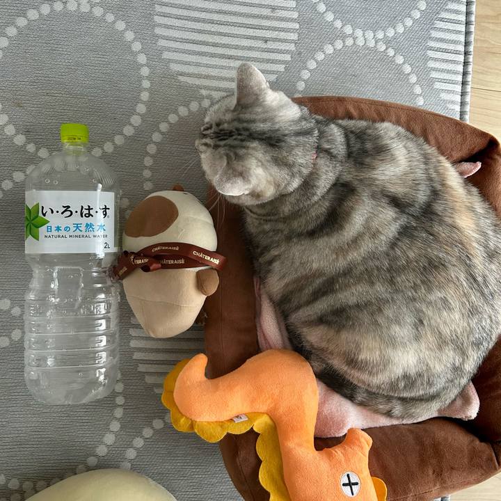 C331e07d 8861 4338 8d93 be5e97254dc2 1761089619362