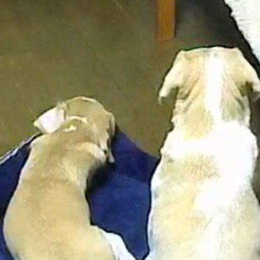 C331fb3e 9c09 4e42 b8f5 5199b5ce070c 1558438890428