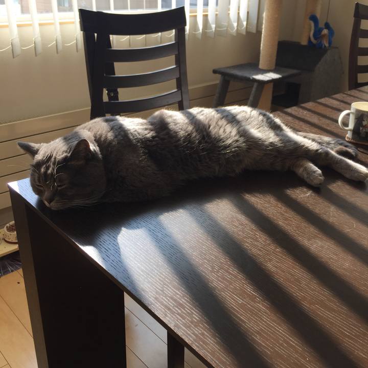 C3320879 d141 4495 9566 bfcb81cf6461 1520998653226