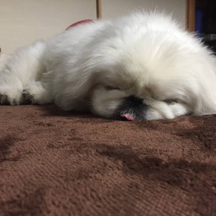 C3322b67 d2e7 4e07 8aa2 ddc426128d5a 1513345378491