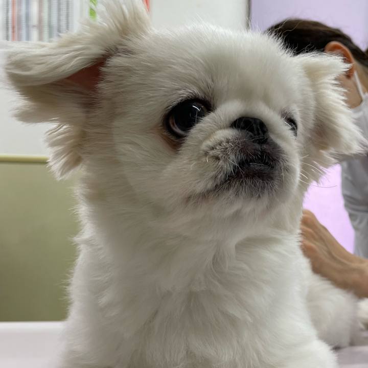 C3326cb4 0993 43e6 bff6 ce8c32208304 1662639367540