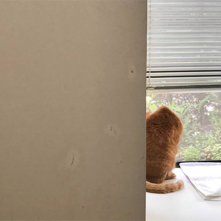 C332b0c4 cab5 49aa a196 aafb50319002 1624346494277