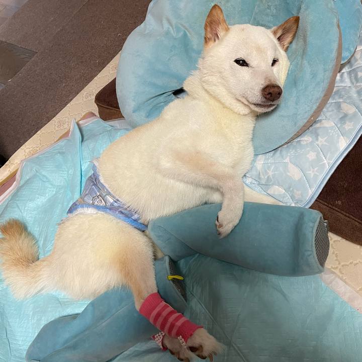 C332ecb2 4f67 4751 94ce f75dff7fc2ec 1662541159679