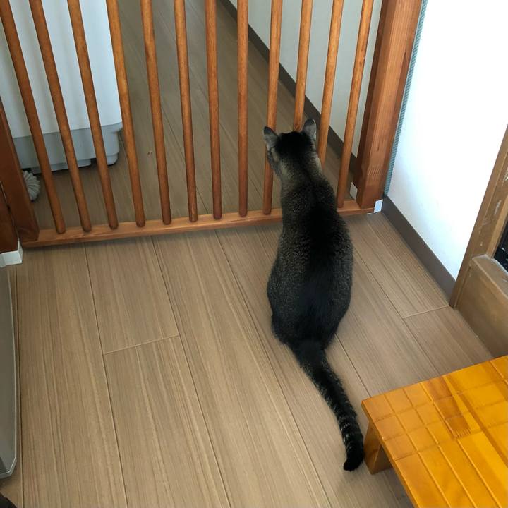 C33305ba dcaa 4cab 9263 7b5978759068 1658366911651