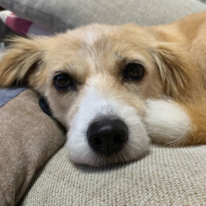 C3334167 b111 459c 9e8e fc59878e2967 1567933840193