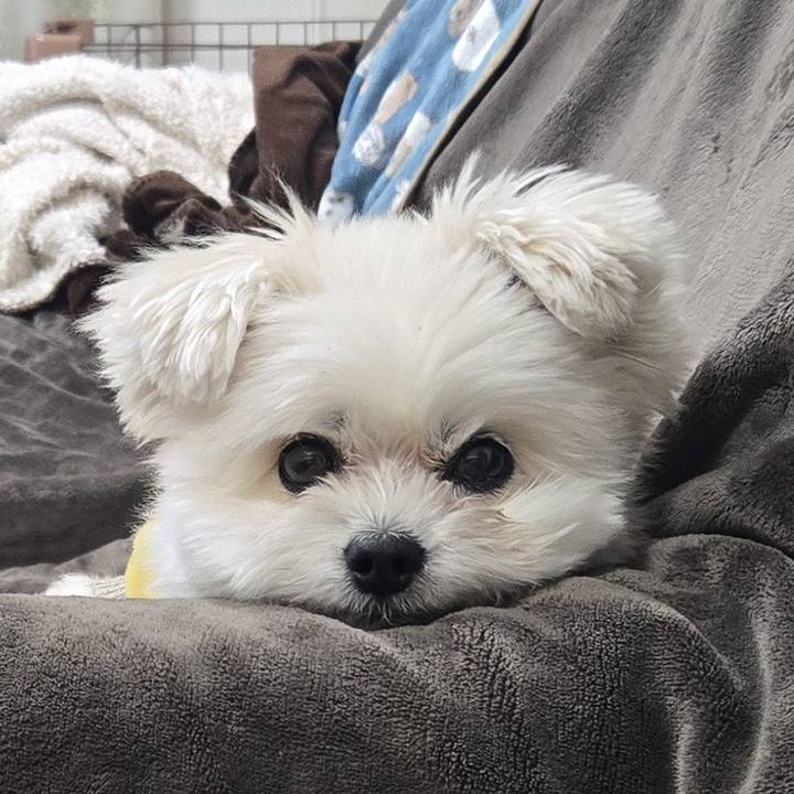 C3336e6a a9d5 49c1 aa3d 8171de06fb5c 1772938147136