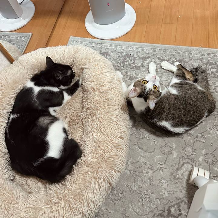 C333702f cf99 468b 9f20 3603f9b93b78 1776150159183