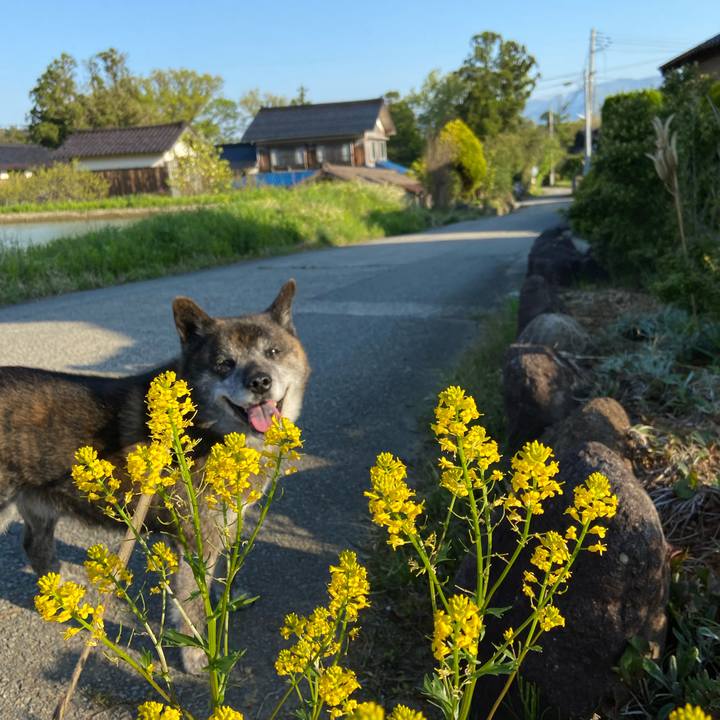 C333985c 7540 491f 9fba c6561e094d08 1651788270439