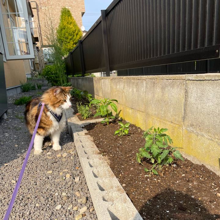 C333a617 0d19 4ea6 8b4a d43e97260ba3 1653117666188