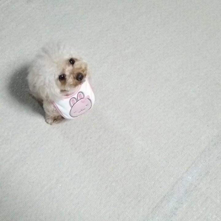 C333ddd5 d682 419b a5b5 412796c4da7d 1514365242651