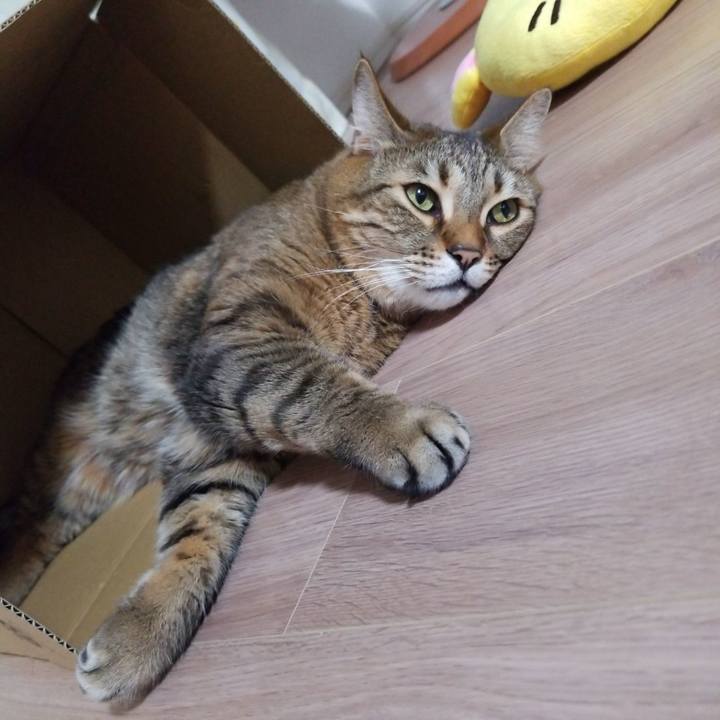 C33415dc 4942 49a0 bd42 a8af1cea02b4 1585742645994