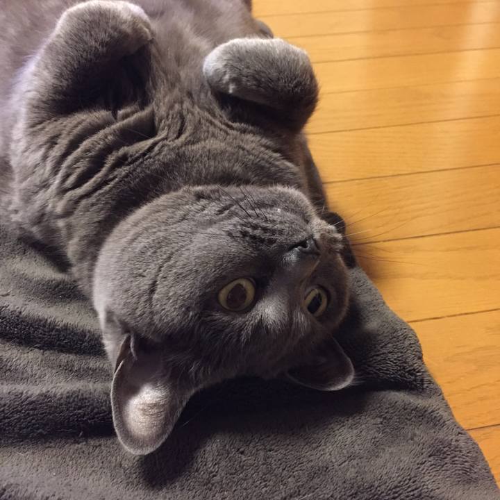 C3341bf4 70b5 45e1 87be a6ed4eb51cb7 1526211458359