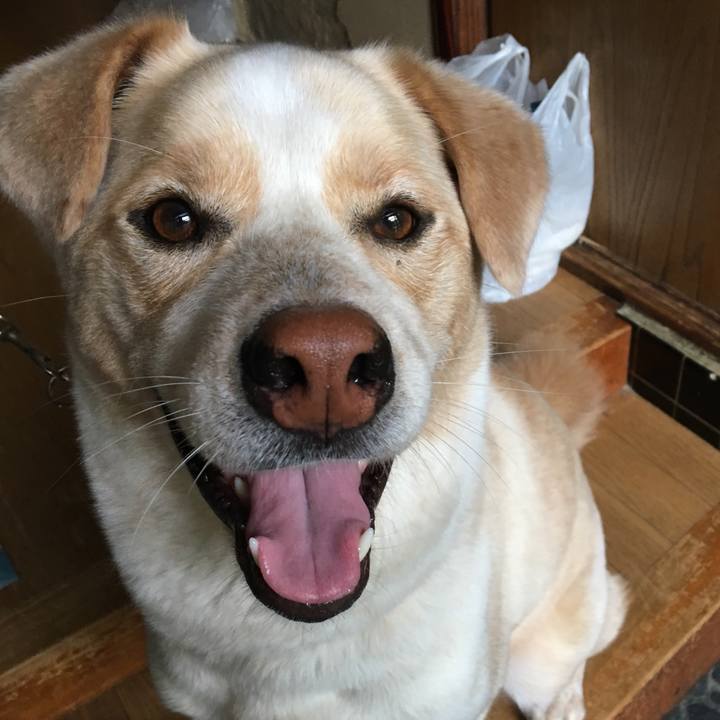 C33425a9 c54a 4db9 a389 d502962b4161 1527547481857