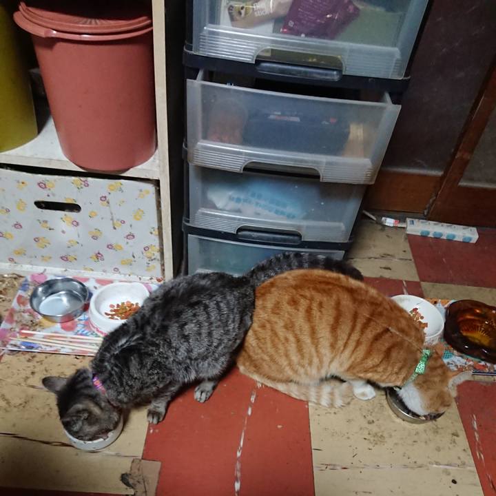 C33445f4 d16f 455e 9480 207bd0acb7cb 1585213720676