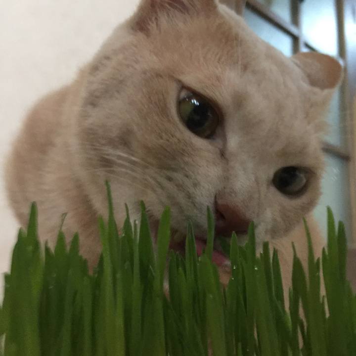 C3345460 d1c1 4900 90c4 258a31afa3be 1529983326837