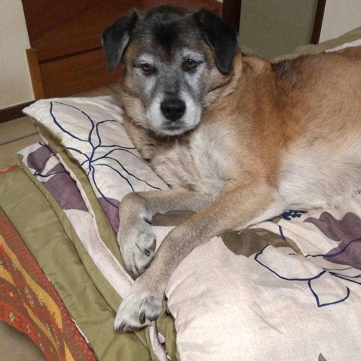 C3345959 5ab5 4303 aceb 442ab07f09d1 1547643876293