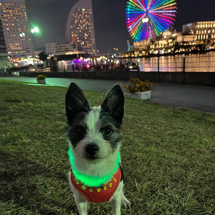 C33472f5 b951 4bd5 b2ec 860f62d8a5cc 1667638747025