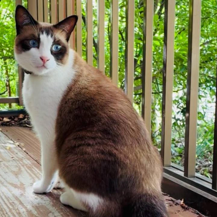 C3348a15 ae05 4050 8bfe 1abcde2a3ee8 1755227008968