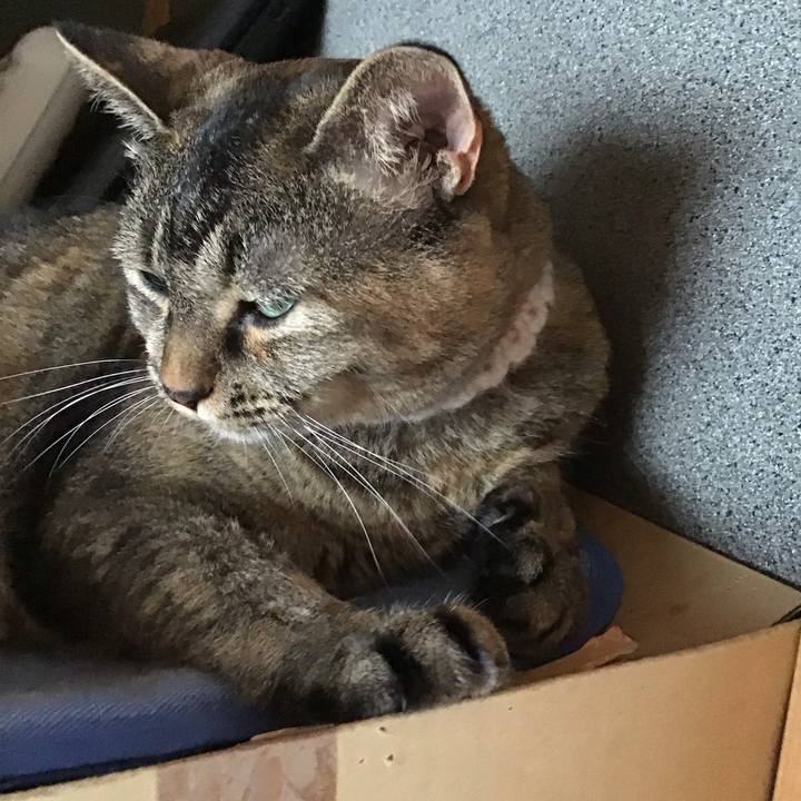 C334c95f fe82 42a5 952b 7e761cc6bff5 1753438845244