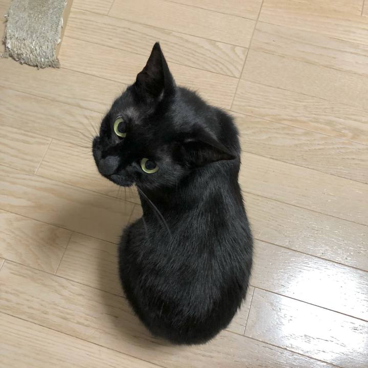 C334d867 9b4c 412b 9746 56f36fe68ab4 1623330442684