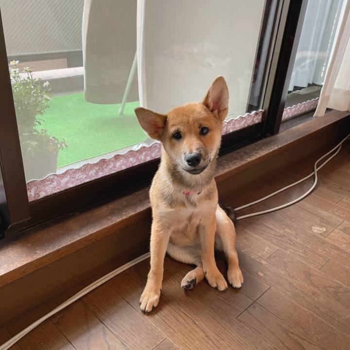 C3354b85 e16a 4082 a204 72aee768e440 1657519922250